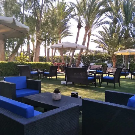 R2 Romantic Fantasia - Adults Only Тарахалехо